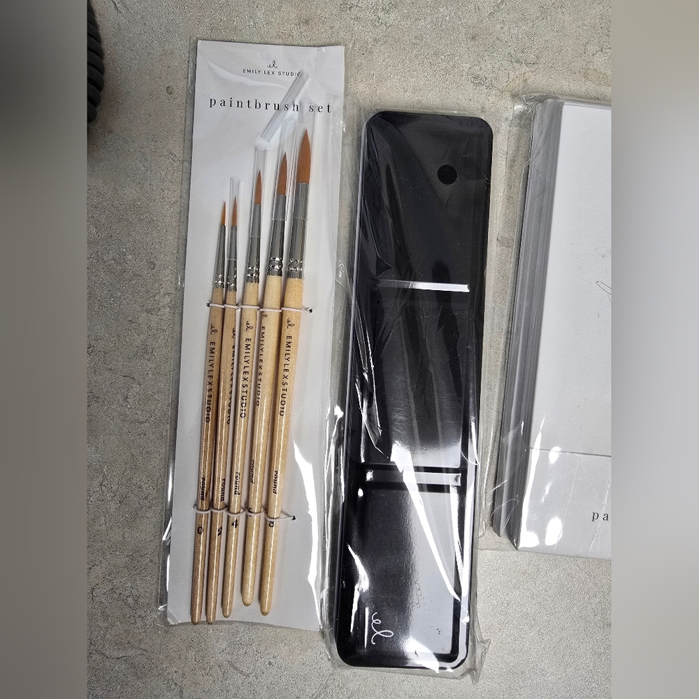 Emily Lex Brushes And Paint